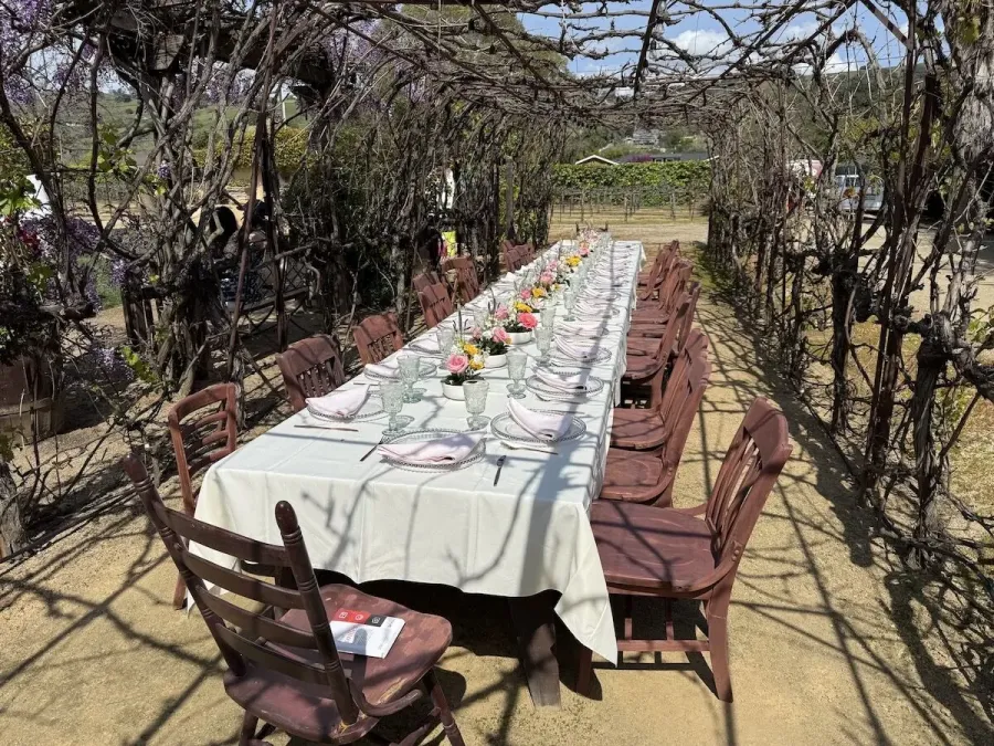 Banquet table among the vines with petite blossom groupings spaced between simple settings